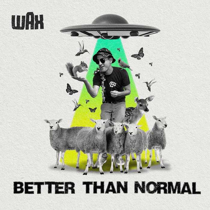 Wax - Better Than Normal